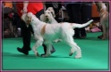 09-03-12 M GoodAsGold_IMG_9674
